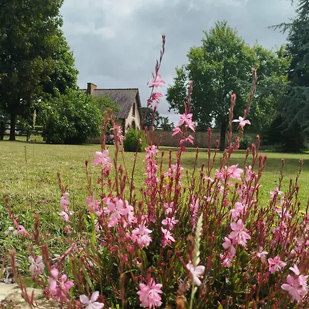 Maison De Charme Holiday home Tour-en-Bessin