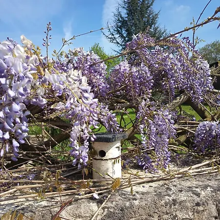 Prázdninový dům Maison De Charme