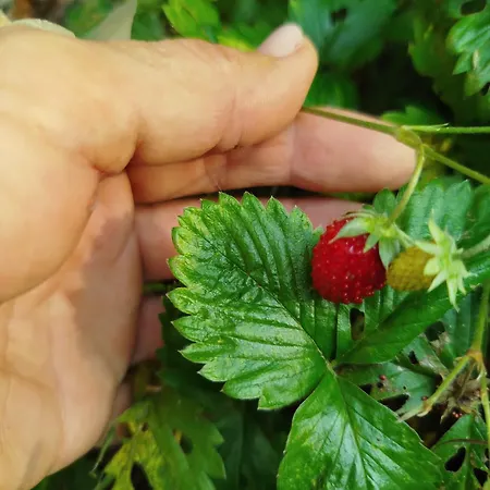 Maison De Charme Prázdninový dům