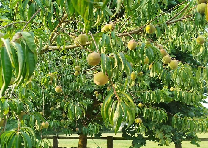 Maison De Charme Tour-en-Bessin
