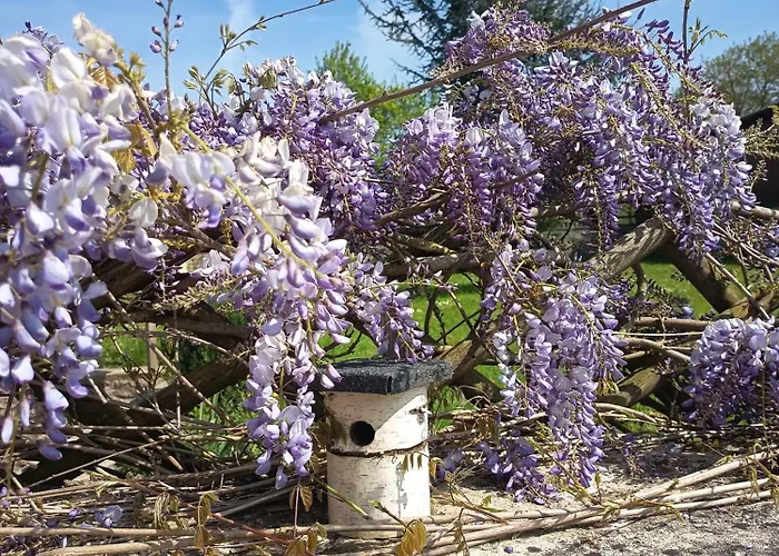 Tatil Evi Maison De Charme