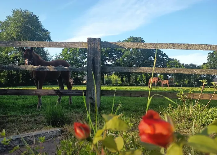 Maison De Charme Tatil Evi